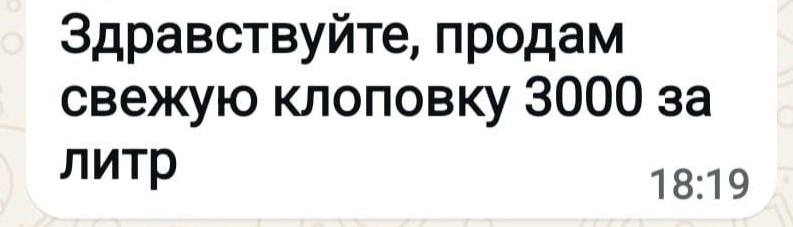 Через мессенджеры клоповку продают по 3000 рублей за литр