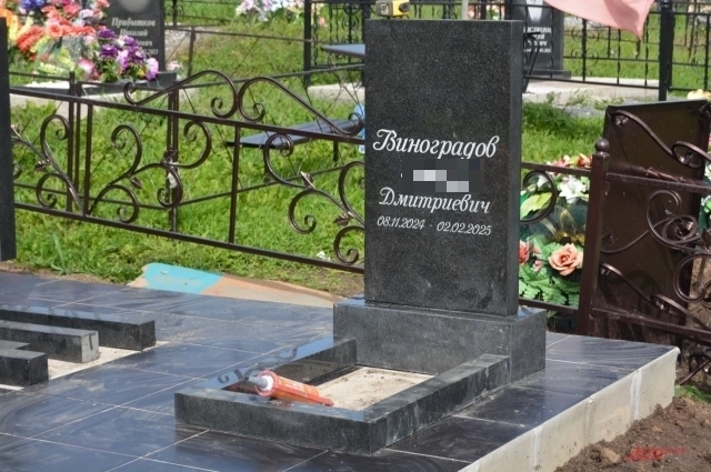 Памятник младшему сыну Виноградовых.