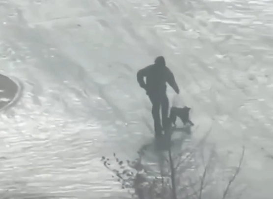 Собачникам сейчас тяжелее всего - чтобы хоть как-то сопротивляться ветру, им приходится сгибаться в три погибели и одновременно держать питомца за поводок.