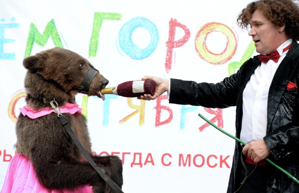 У каждого лохматого артиста в цирке свой стол.