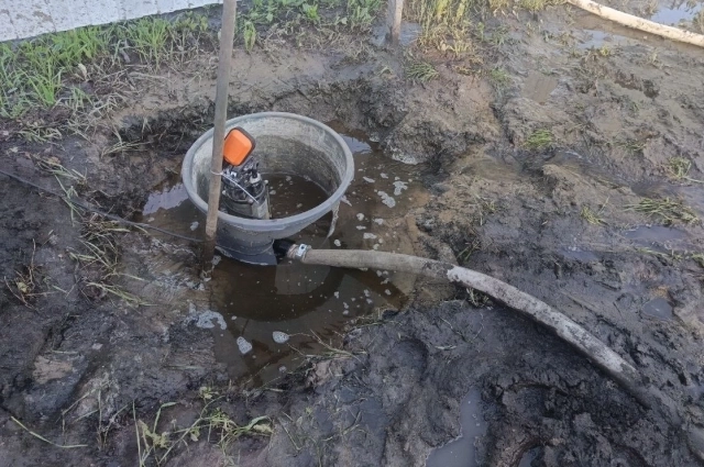 Насос - самый востребованный инструмент дачников СНТ в Осташково.