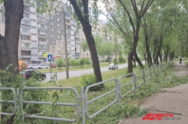 Улицы усеяны сломанными ветками.
