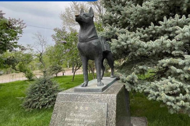 Памятник собаке-подрывнику - единственный в России