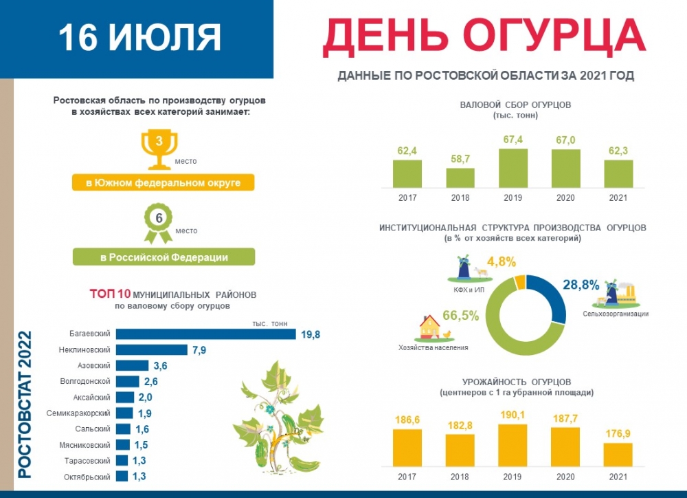 Ростовская область занимает 6 место в стране по производству огурцов