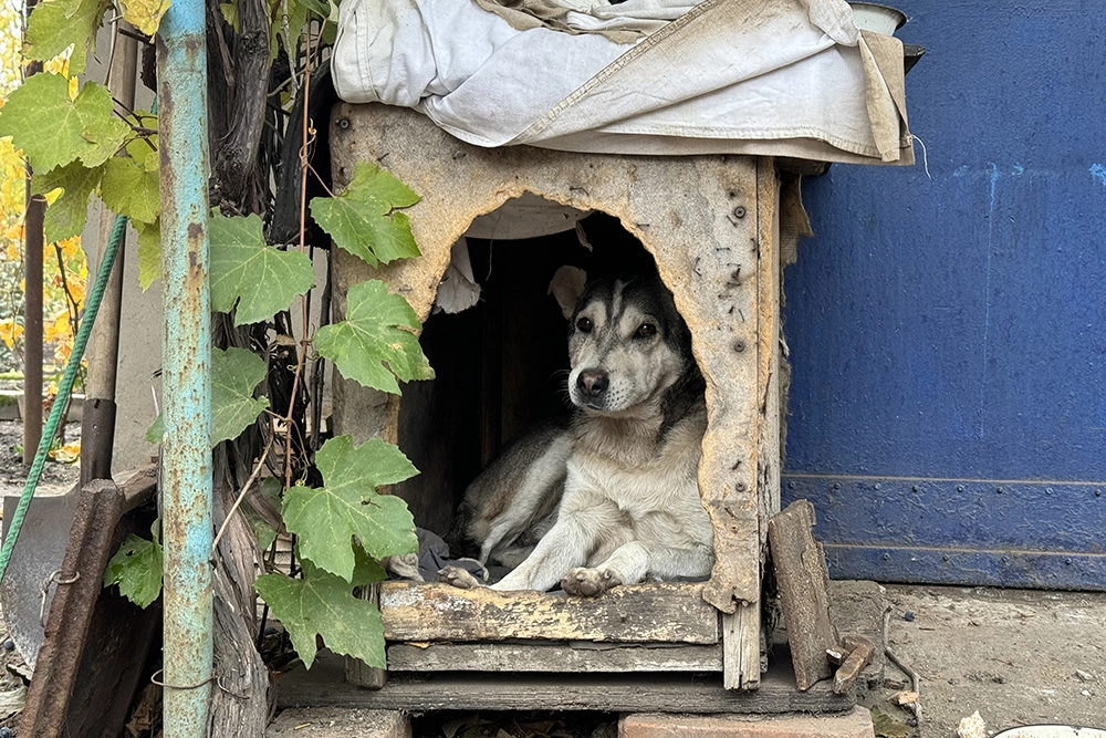 Авдеевка.