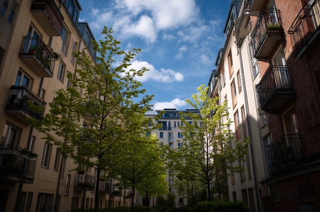 Новостройки, дома, весна