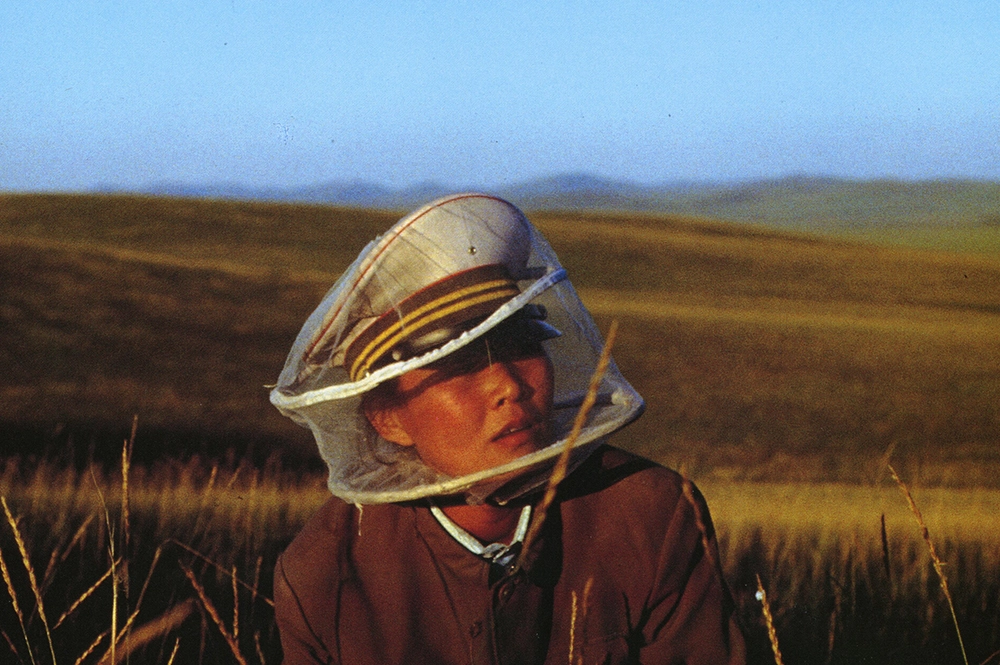 «Угра: территория любви» (1991).