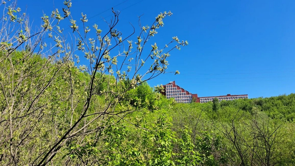 Парк Разгуляй