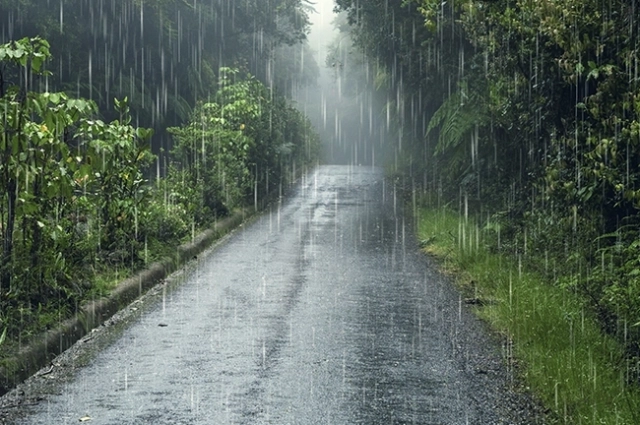 Дождивая погода ожидается в будние дни в Иркутске