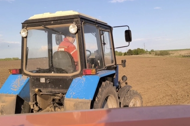 Селекционеры рассказали о сортах картофеля