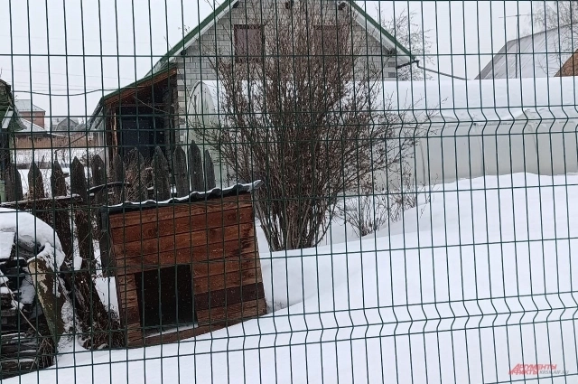 Пустая собачья будка на участке Усольцевых.
