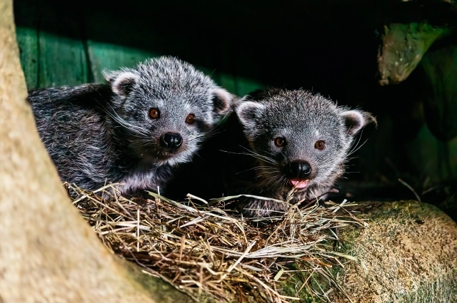 Они смотрят на вас