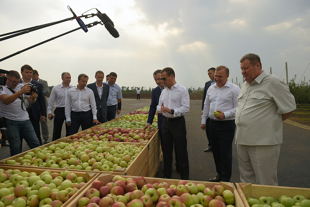 Председатель правительства РФ посетил черкесские яблоневые сады.