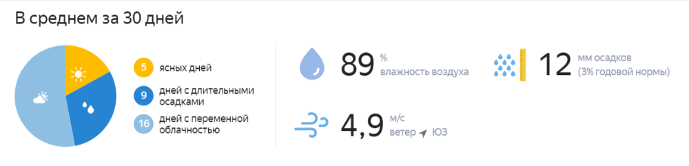 Погода в январе 2024 в Омске