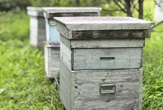 Домики у пчел - уютные и компактные.