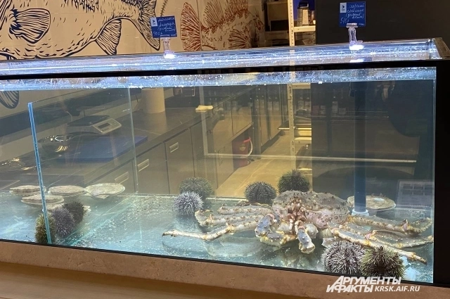Желающим купить морского ежа его достанут прямо из аквариума.