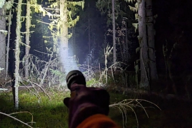 Волонтёры готовы выдвинуться на поиск в любое время года, днём или ночью.