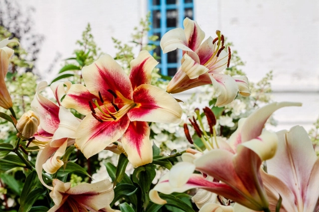 Детей золотом кормили. Село Шурала было одним из самых богатых на Урале