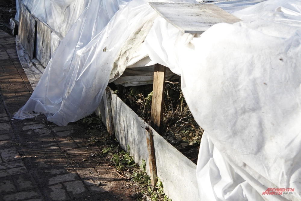 Укрытие для роз.