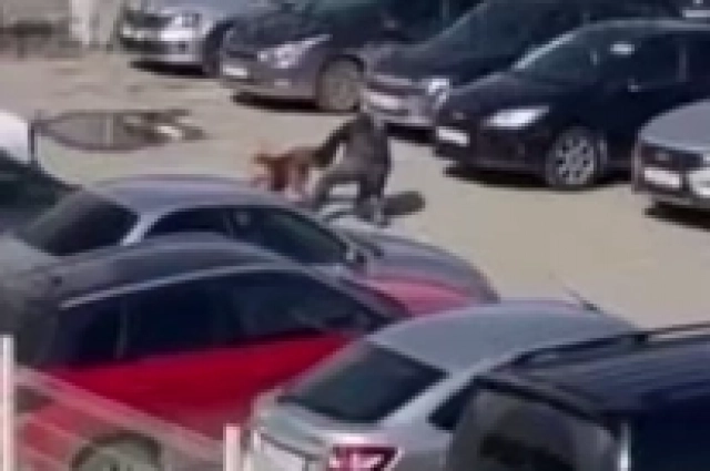 Кадр из видео, снятого из окна соседнего здания.
