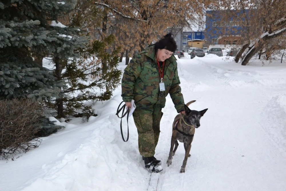 Наталья чувствует себя счастливой, работая с собаками.