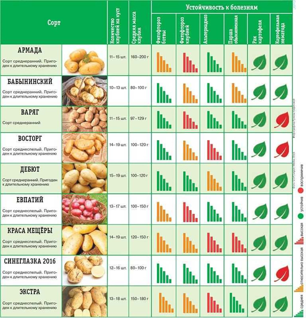 Нажмите для увеличения