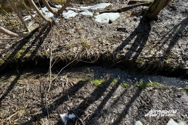 За порядком в Саду в будут следить специалисты «Горзеленстроя». 