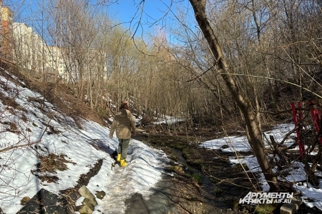 В Саду планируют обустроить современную тропу с освещением.