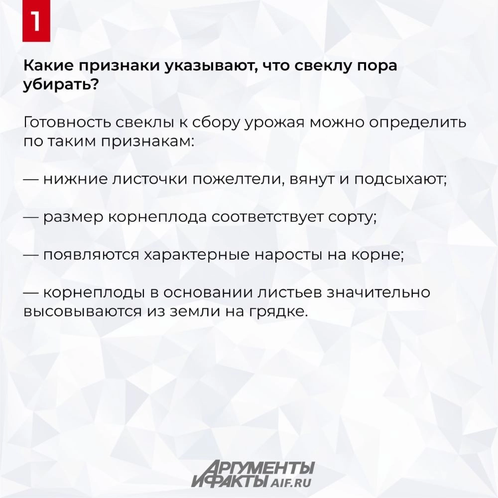 Нажмите для увеличения.