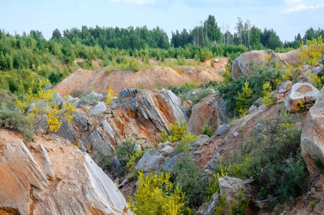 По следам легенд и тайн. Почему Невьянск – столица Демидовской империи?