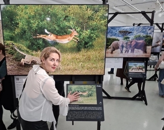 На выставка более 120 фоторабот финалистов международного конкурса из 19 стран, а также тактильные копии этих фото для незрячих и слабовидящих.