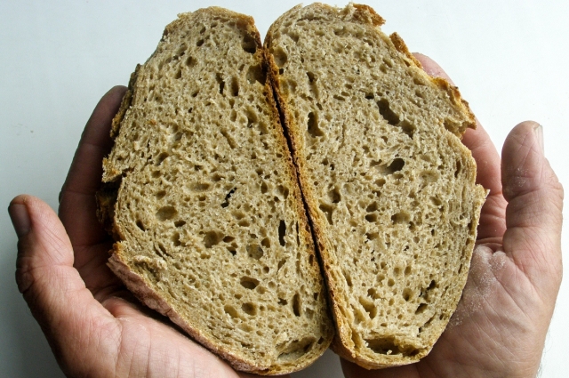 Почему в хлебе появляются дырки? Биологический и химический процесс