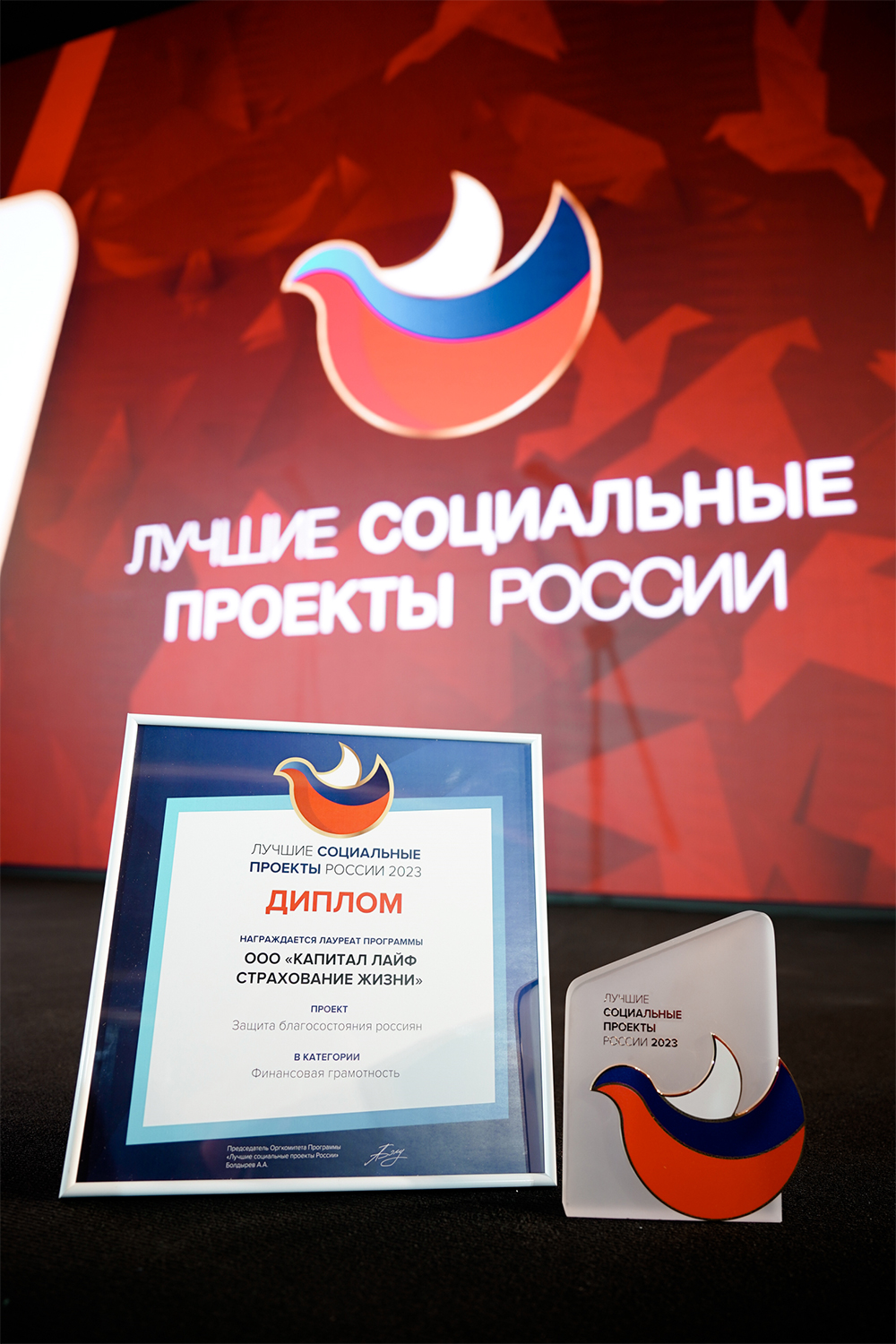 Лучшие проекты россии