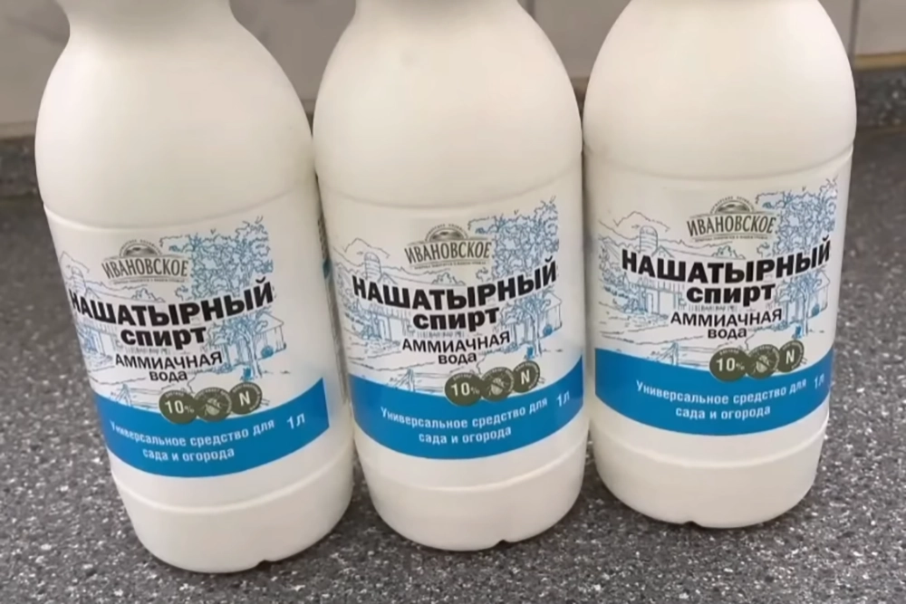 Как избавиться от тараканов в квартире. Нашатырный спирт