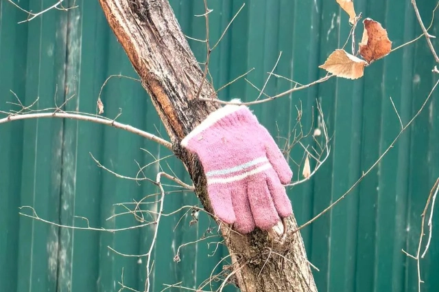 Прогульщики