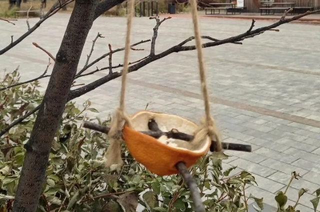 Прогульщики