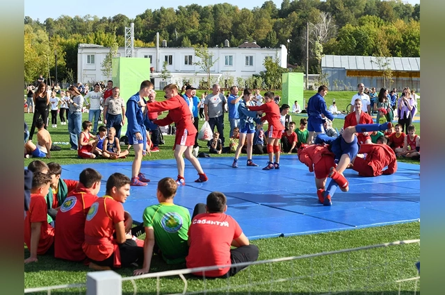 По предварительным оценкам, в юношеских Играх примут участие от 3 до 5 тысяч спортсменов из более чем 50 стран.