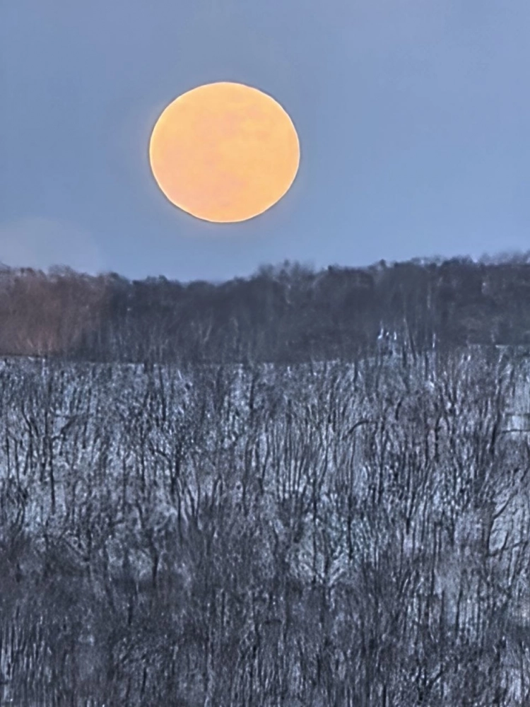 В этот раз Луна выглядит крупнее и ярче.