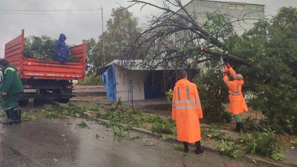 От жителей города поступило 176 обращения 