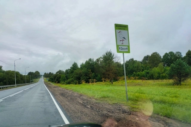 Дорожный знак