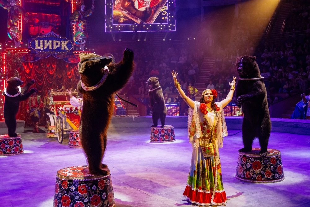 шоу 5 континентов