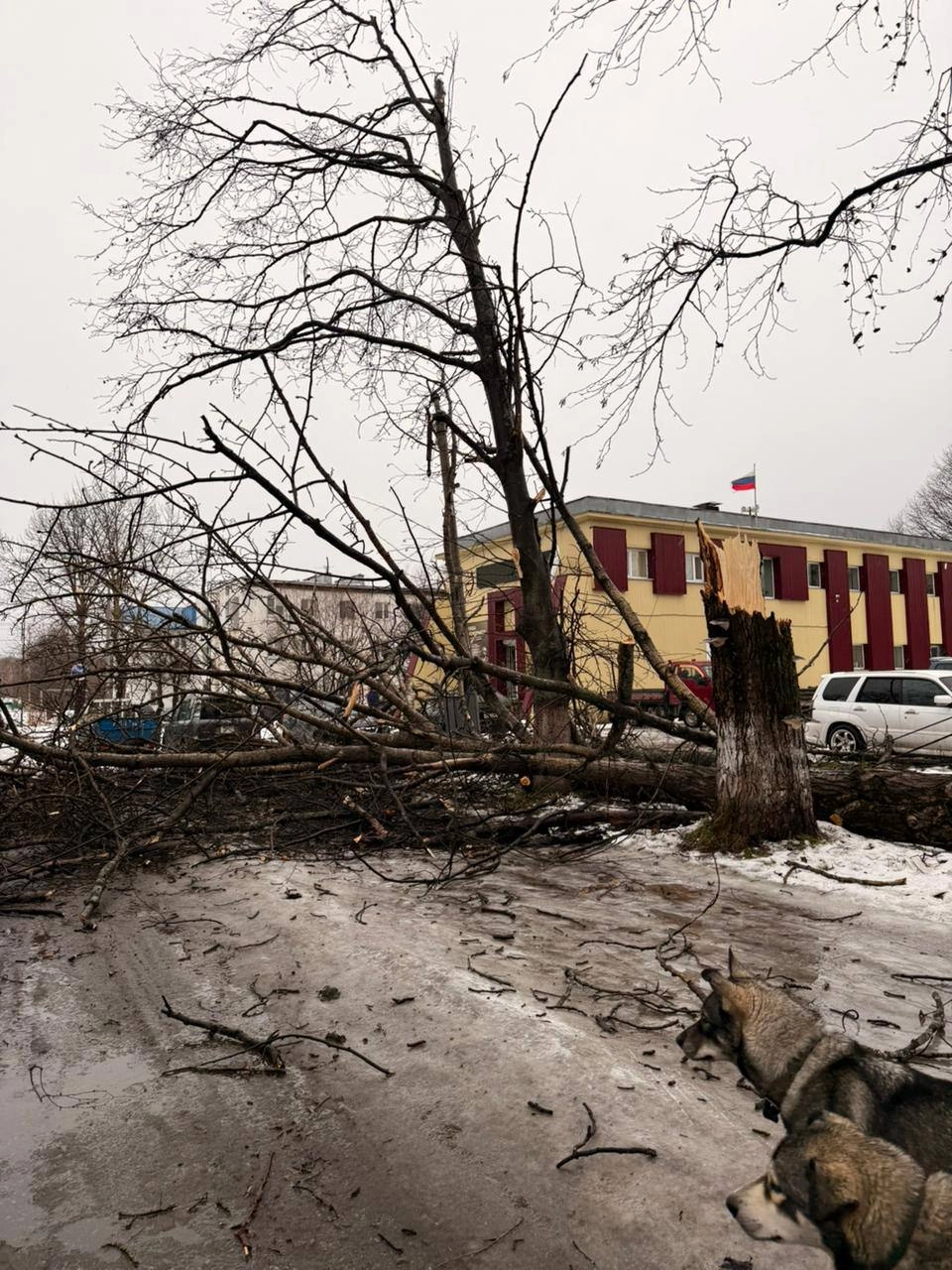 Циклон Камчатка