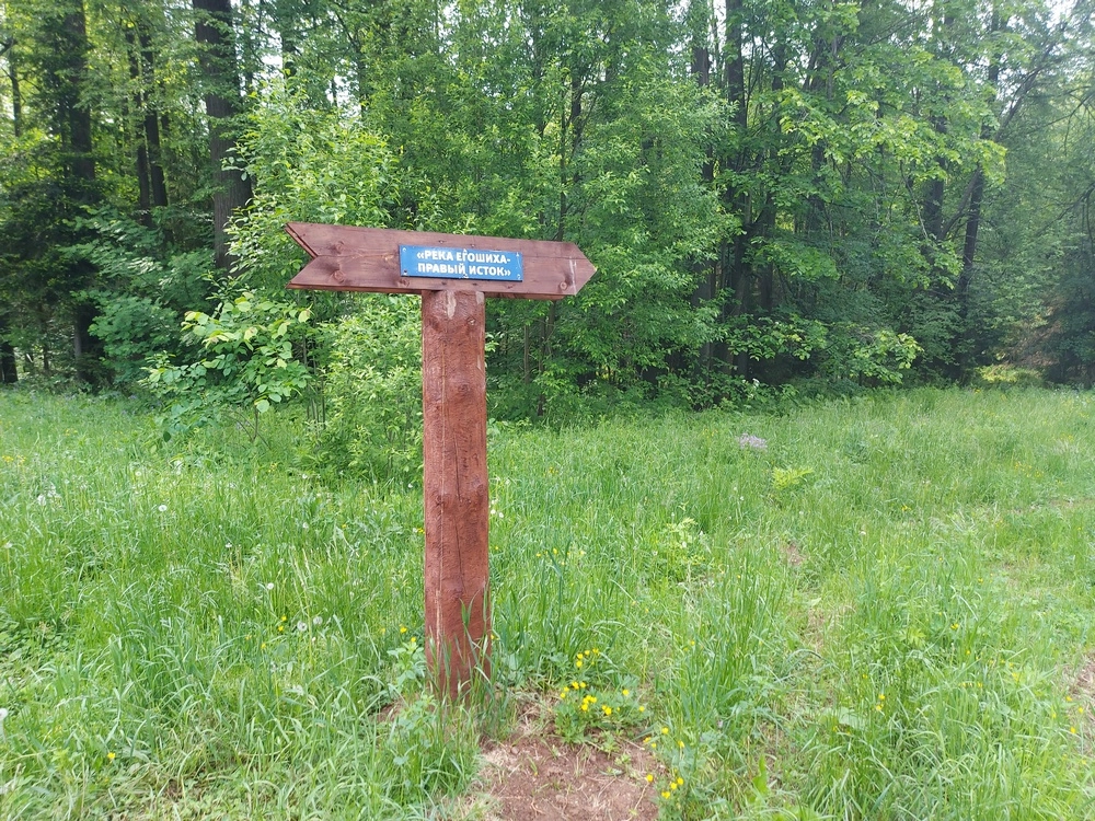 Липовая гора