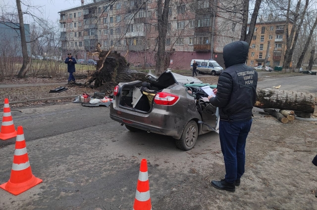 Новокузнецк. Дерево упало на автомобиль. Погибли двое.