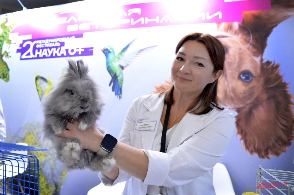 Международный фестиваль «Наука 0+».