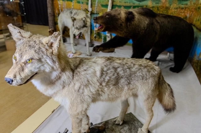 Время, вперёд! В Верхнем Тагиле твёрдо знают, с чего начинается Родина