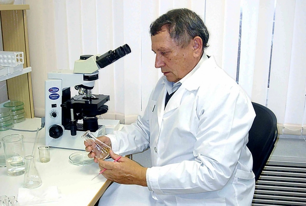 Профессор Николай Гурский назвал пять приемов, как защитить озимые от заморозков.