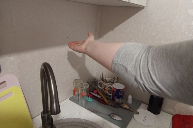 Фекалии ушли из квартир, но, видимо, в подвале они остались: оттуда по дому стали распространяться мухи (в подъезде их просто тысячи, они сидят на полу и стенах чёрными пятнами), комары и плесень