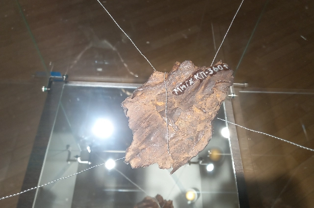 Фрагмент метеорита