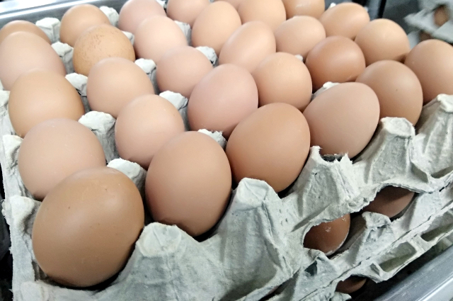 Из местности запрещено вывозить курятину и яйца.